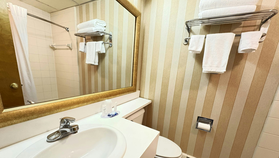 Bathroom 4, Magnuson Grand Pioneer Inn and Suites, Delta
