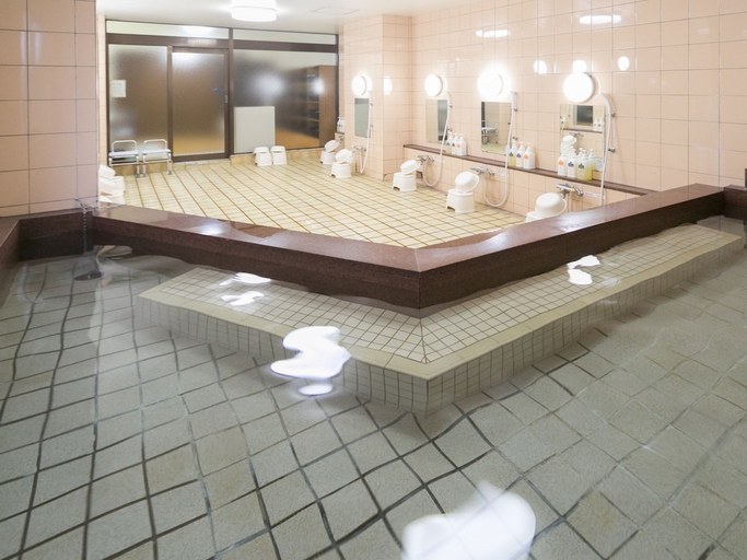 Bathroom 3, Riverside Hotel Shoei, Kōchi