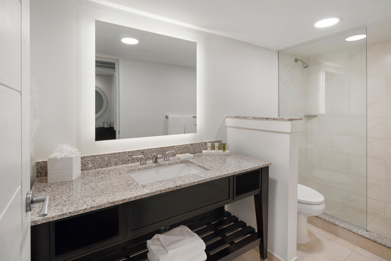 Bathroom 4, Dreams Rose Hall Resort & Spa - All Inclusive