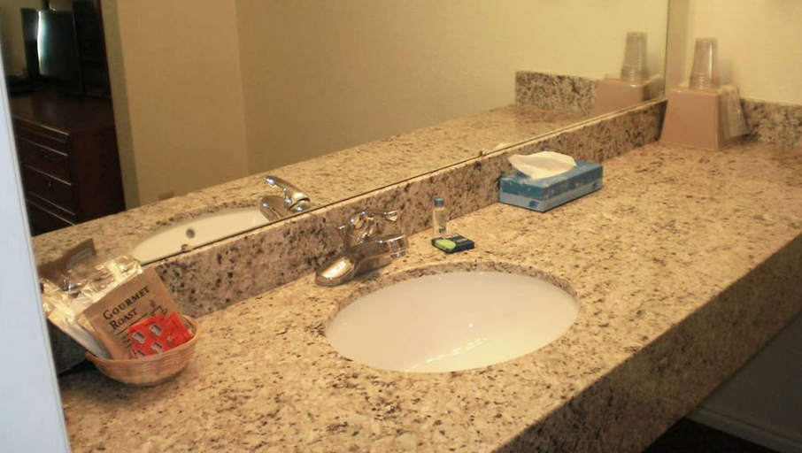 Bathroom, Magnuson Hotel Park Vue, White Pine