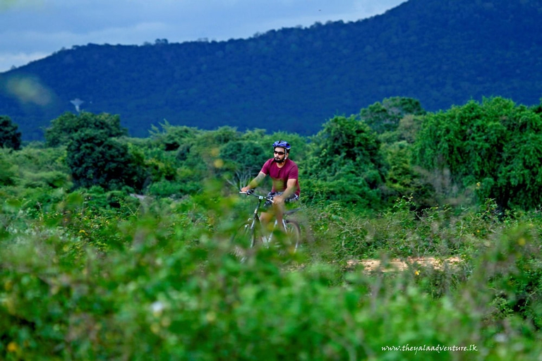 Others 2, The Yala Camping, Thissamaharama