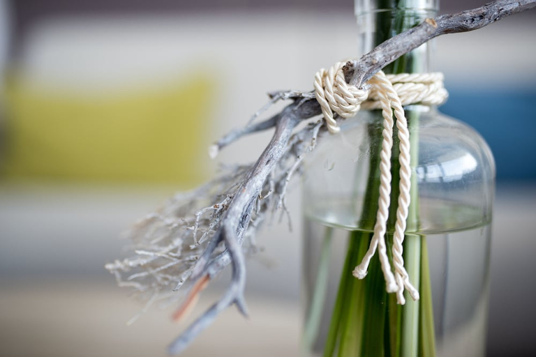 Food & Drinks 5, Hotel Neptun, Rostock