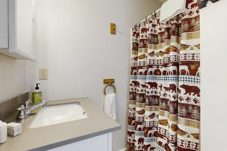 Bathroom, Charming condo w/ lake access, dock, WiFi & mountain views, Somerset