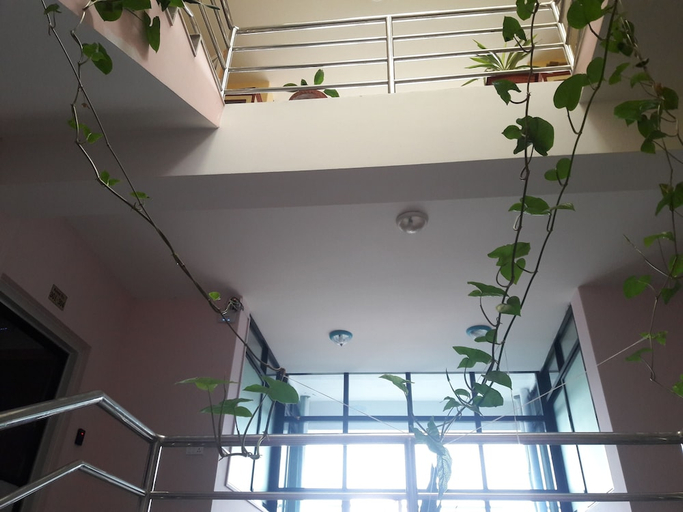 Others 5, The Boudha Inn, Bagmati