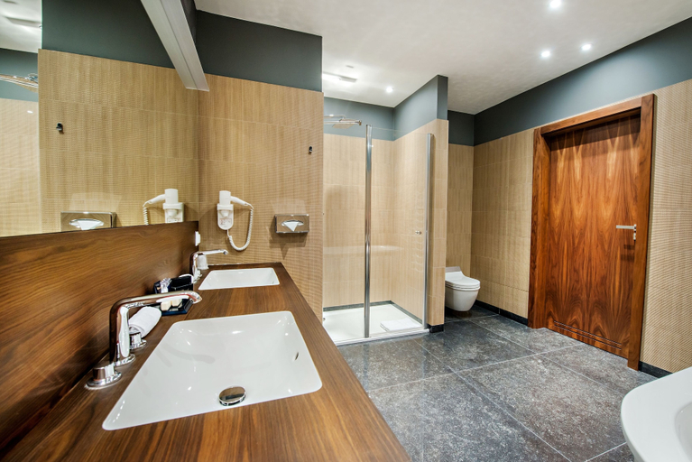 Bathroom 4, ARLAMOW HOTEL, Bieszczady