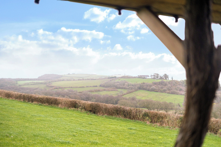 Property grounds 3, Cosy Rustic Cabin With hot tub and Country Views, Carmarthenshire