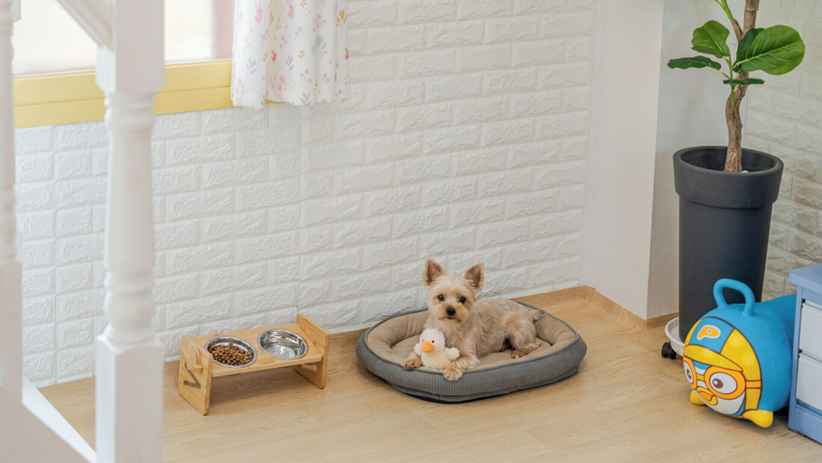 Room 5, Gapyeong Darin Pension, Gapyeong