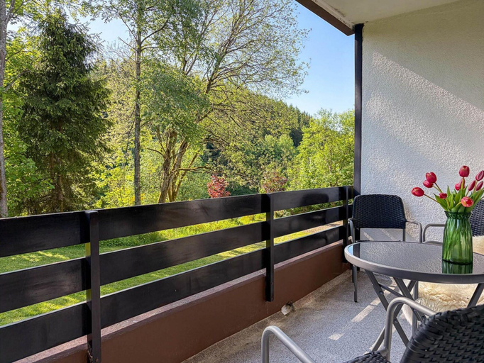 Balcony 5, Ferienwohnung in Winterberg, Hochsauerlandkreis