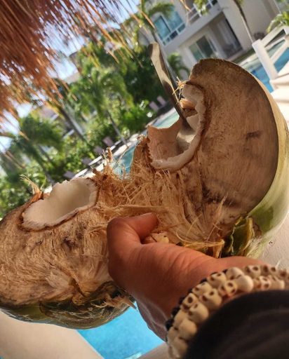 Food & Drinks, Coral Maya Stay Suites, Cozumel