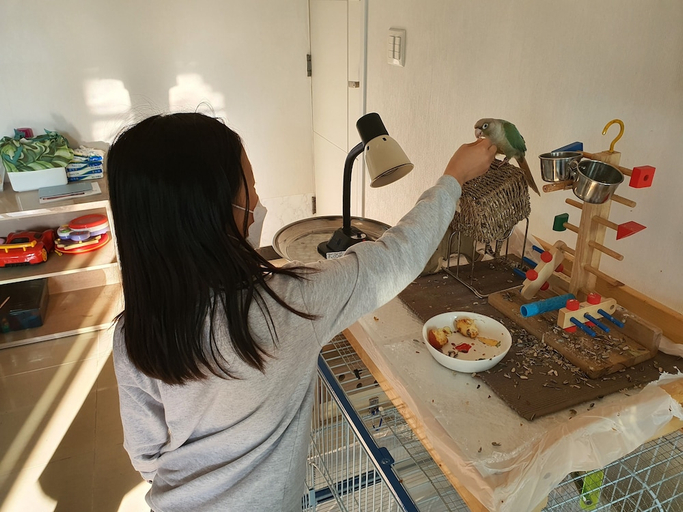 Food & Drinks, Forest Of Color Pension, Chuncheon