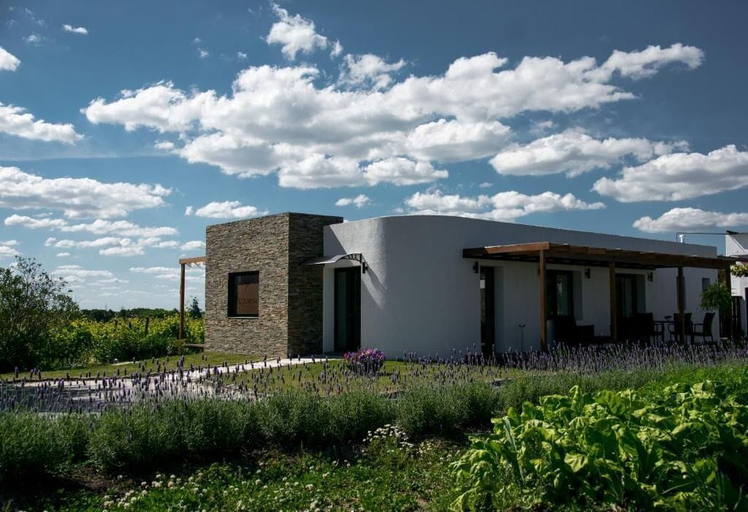 Primary image, Bodega Pizzorno Lodge & Wine, n.a344