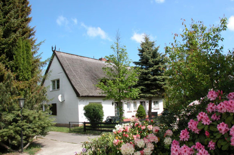 Primary image