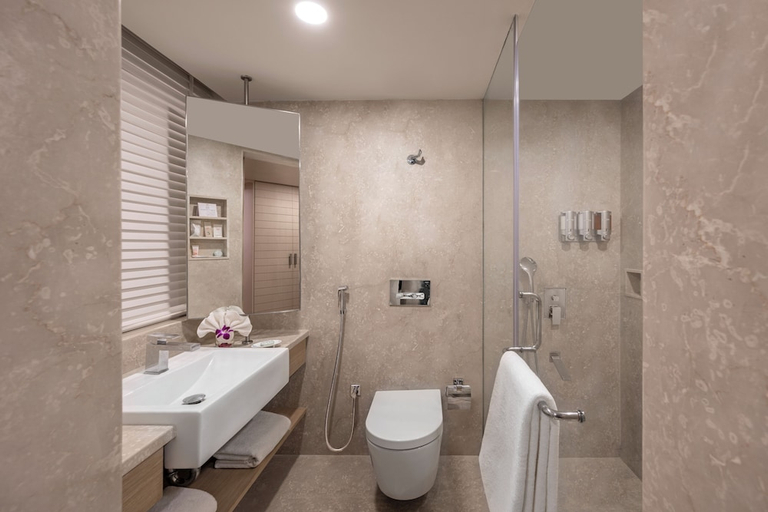 Bathroom 5, Welcom Rama International, Aurangabad