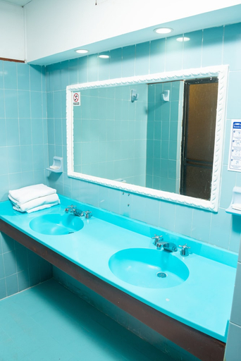Bathroom, Hotel Palmarena Plaza, Santa Marta (Dist. Esp.)