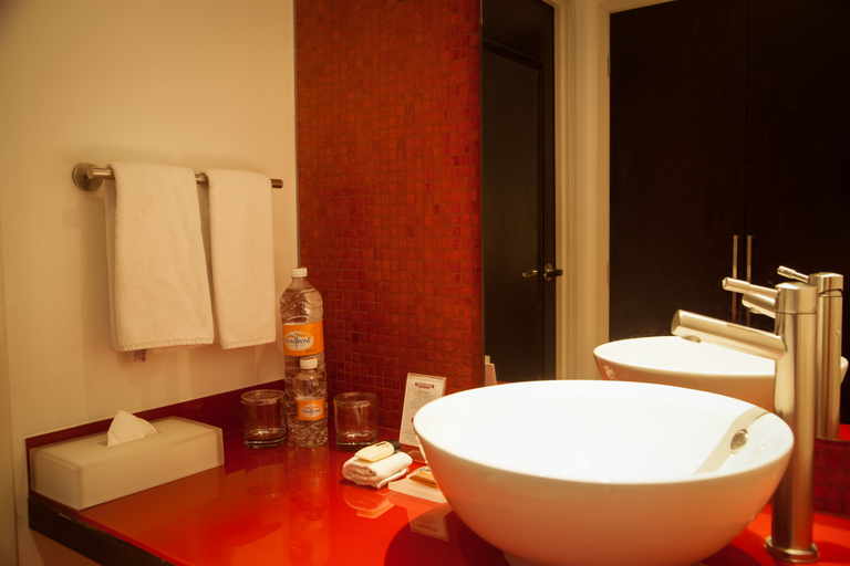 Bathroom 5, Fiesta Inn Periferico Sur, Mexico City