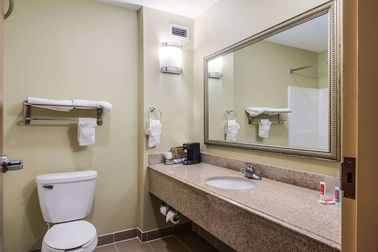 Bathroom 3, Econo Lodge Inn & Suites Little Rock SW, Pulaski