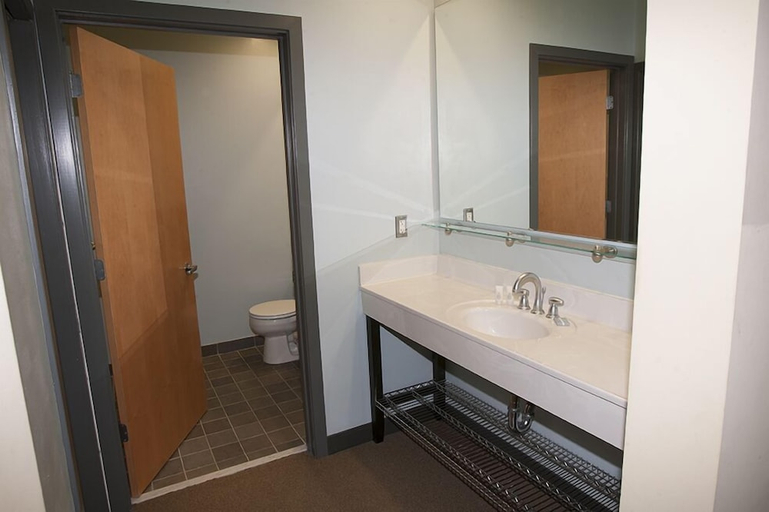 Bathroom 3, Expedition Station Trail Resort Ski-in-Ski-out, Pocahontas