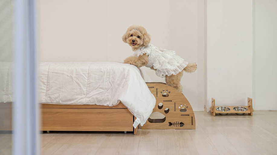 Room 3, Gapyeong Darin Pet-friendly Pension, Gapyeong