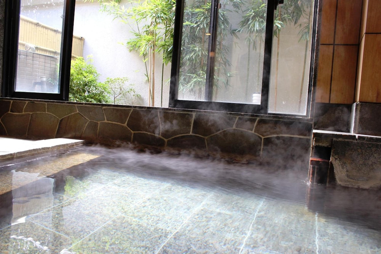 Bathroom 2, Gora Saryo, Hakone
