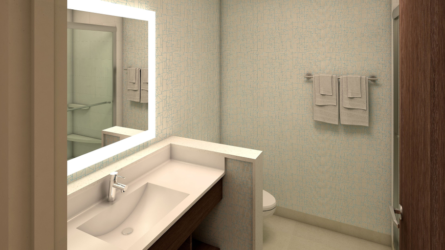 Bathroom 5, Holiday Inn Express & Suites COMMERCE by IHG, Banks