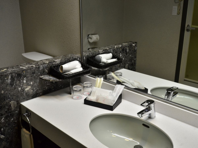 Bathroom, Tanegashima Iwasaki Hotel, Minamitane
