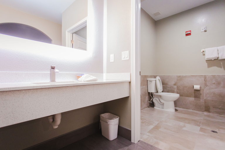 Bathroom 3, Palace Inn 1-10 West & Beltway 8, Houston
