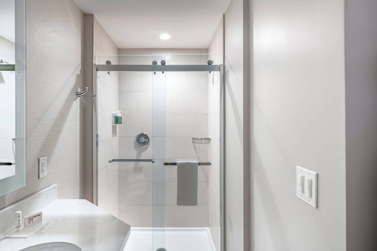 Bathroom 4, SpringHill Suites by Marriott Fort Worth Historic Stockyards, Fort Worth