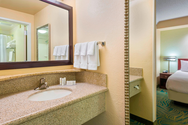 Bathroom 4, SpringHill Suites by Marriott Fort Myers Airport, Lee