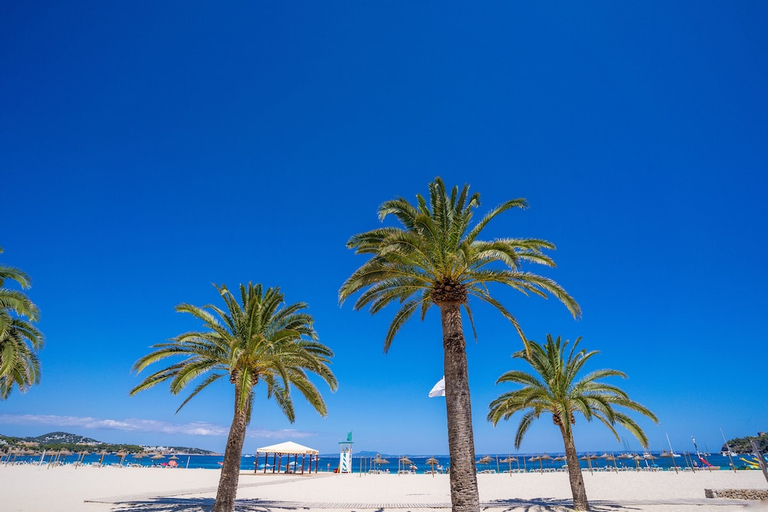 Others 4, Apartaments las Palomas Econotels, Baleares