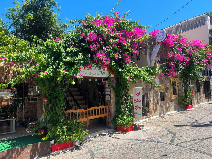 Miscellaneous 2, La Viva Best Pansiyon, Çeşme