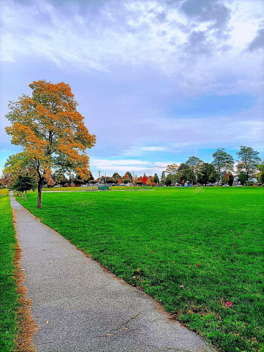 Others 2, Warm Home in Vancouver, Greater Vancouver