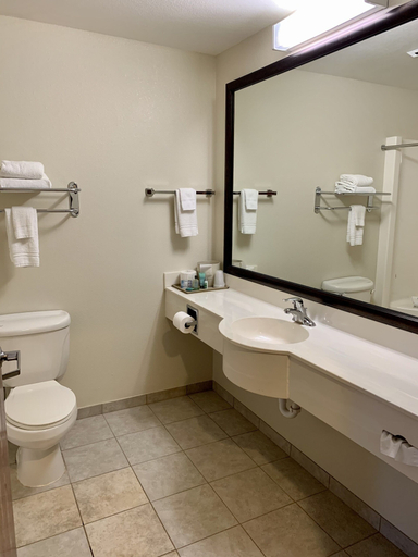 Bathroom 4, Crossings Inn and Suites by GrandStay, Sherburne