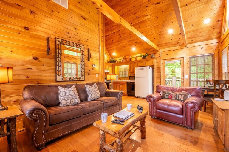 Living area 3, Lazy Bear Lodge, Sevier