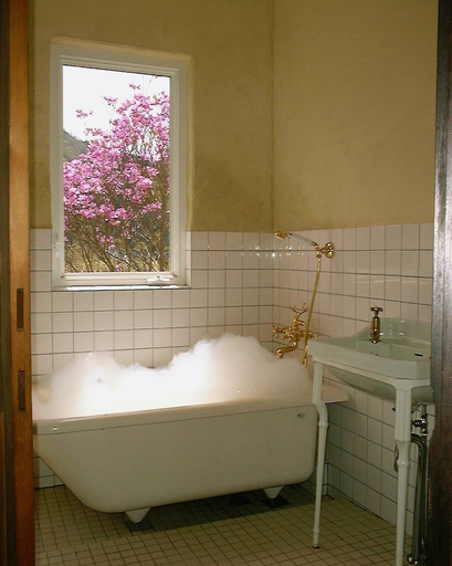 Bathroom 3, Gasthof Ami, Nikkō