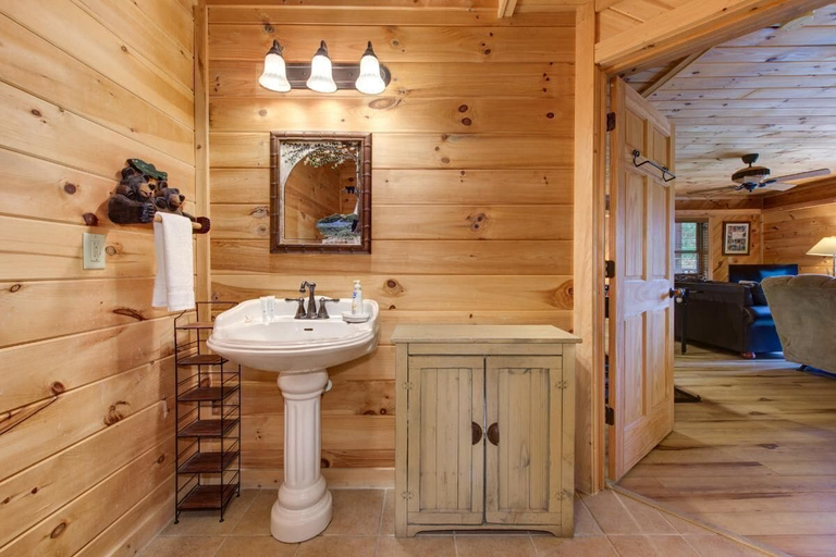 Bathroom 4, Raccoon Heaven, Sevier