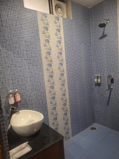 Bathroom 3, Saalak Lite Eliot Exotica, Kangra