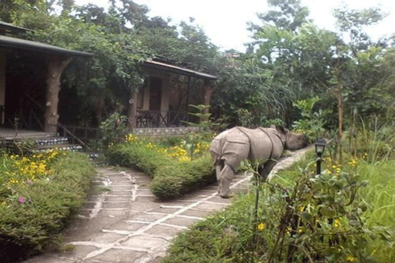 Others 5, Chitwan Gaida Lodge, Narayani