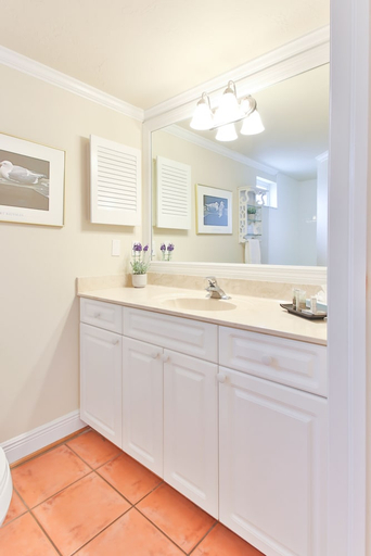 Bathroom 3, Tortuga Inn Beach Resort, Manatee