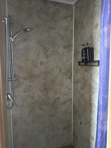 Bathroom 2, 3 bedrooms House, Palmerston North