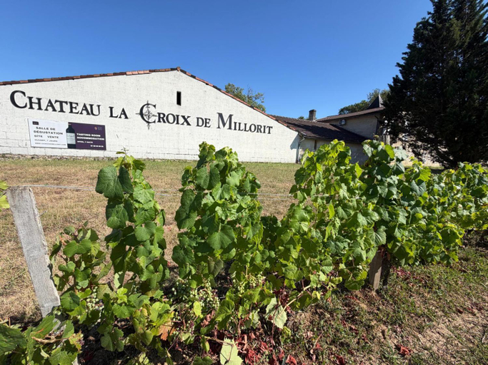 Exterior & Views, Chateau La Croix De Millorit, Gironde