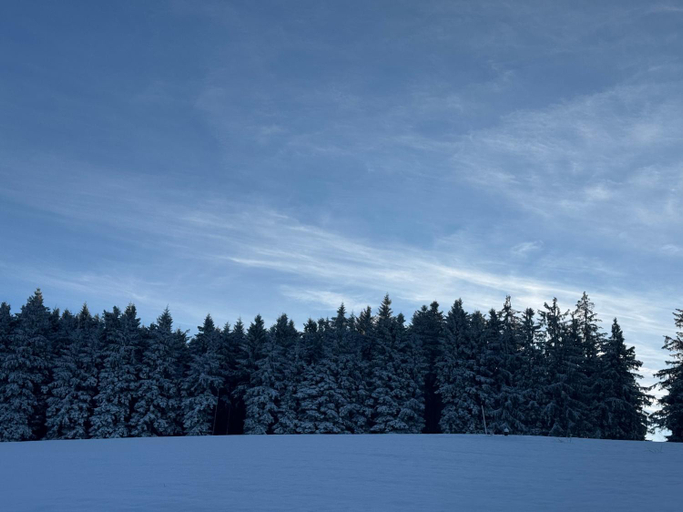 Others 5, Naturfreundehaus Brend, Schwarzwald-Baar-Kreis