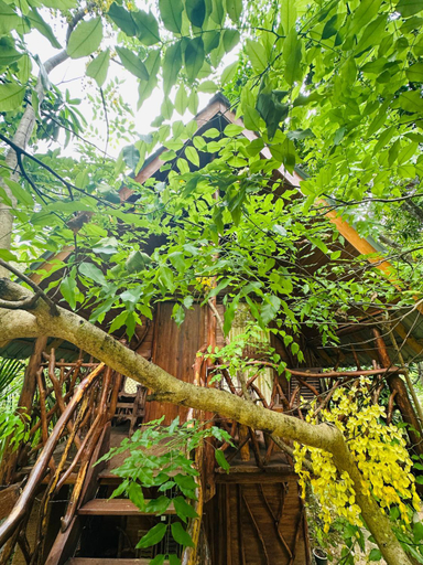Exterior & Views 1, Sigiri Lodge and Tree House, Dambulla