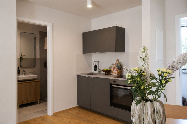 Private kitchen 5, homie stay am sonnenstuhl, Würzburg