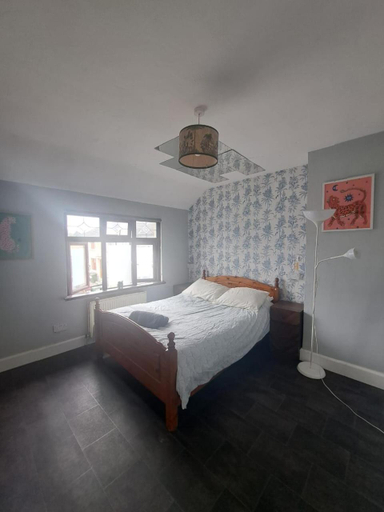 Bedroom 5, wake up with 2 cats on your face, Dublin