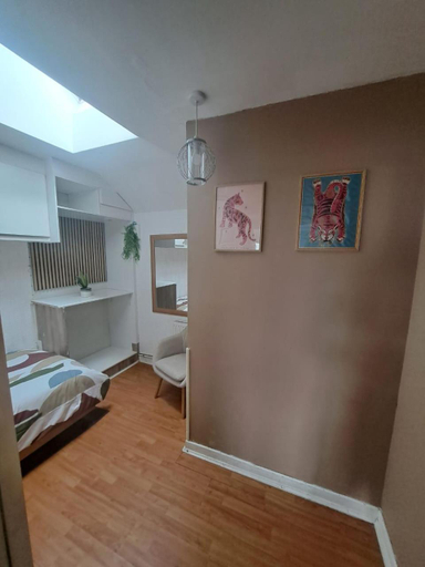 Bedroom 2, wake up with 2 cats on your face, Dublin