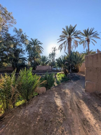 Property grounds, The Guests Haven House - Heart Of Skoura, Ouarzazate