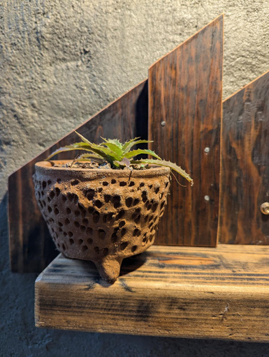 Food & Drinks 4, Ivy Coffee Farm - Cabin House, Đức Trọng