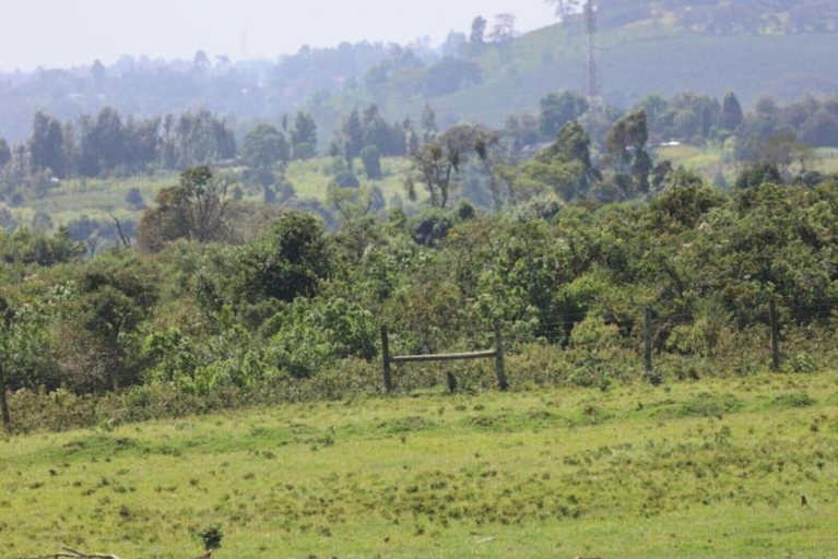 Miscellaneous 2, The Treetops Lodge, Kieni