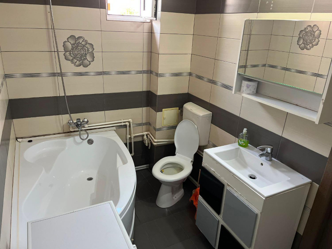 Bathroom, Pensiunea Florian, Tulcea