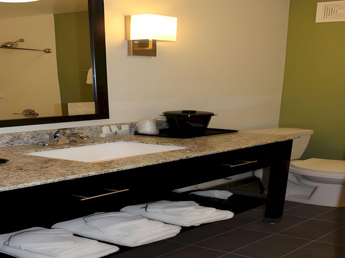 Bathroom 4, Sleep Inn And Suites, Ector
